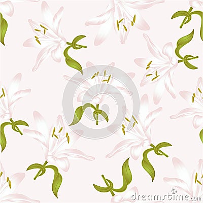 Seamless texture white Lily Lilium candidum, a white flower with leaves vector illustration editable Vector Illustration