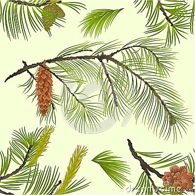 Seamless texture White Pine branch with pine cone and flowering black pine vintage vector Illustration editable Vector Illustration