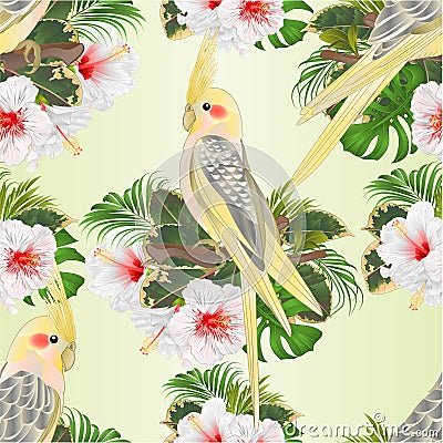 Seamless texture Yellow cockatiels cute tropical birds funny parrots and white hibiscus watercolor style on a green background vin Vector Illustration