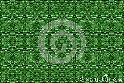 Tiled pattern from a close-up of a leaf. Stock Photo