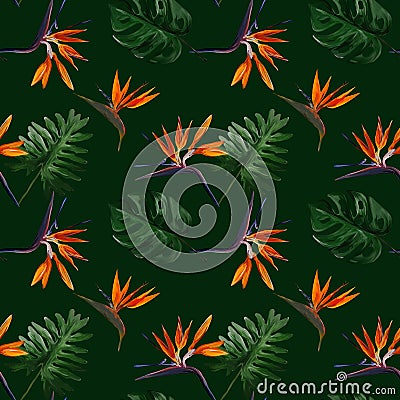 Seamless tropical pattern with strelitzia with leaves on dark green background. Seamless pattern with colorful leaves of colocasia Stock Photo