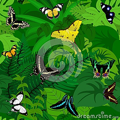 Seamless vector african tropical rainforest jungle background with butterflies Vector Illustration