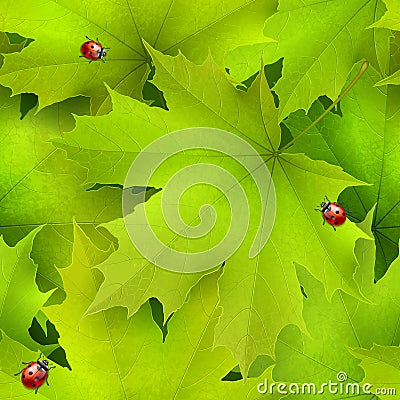 Seamless vector background -- green summer spring maple leave Vector Illustration