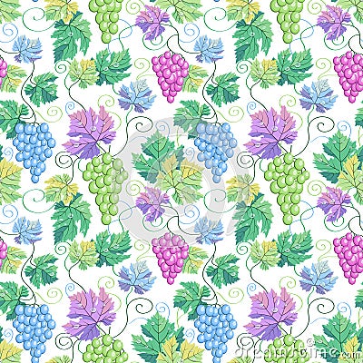 Seamless vector grapes white pattern background. In blue purple pink green cute pastel colors. Good for wine bar menu Vector Illustration
