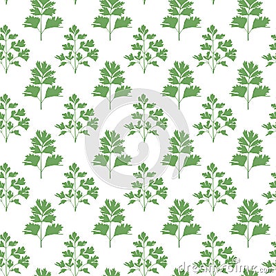 Seamless vector parsley pattern. Botanical background with spices, greens for textile. kitchen decor Vector Illustration