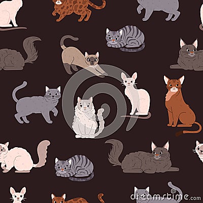 Seamless vector pattern of flat sitting or lying cute cartoon cats, British shorthair, Cornish rex, Burmese cat and Vector Illustration