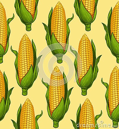 Ripe corn Vector Illustration