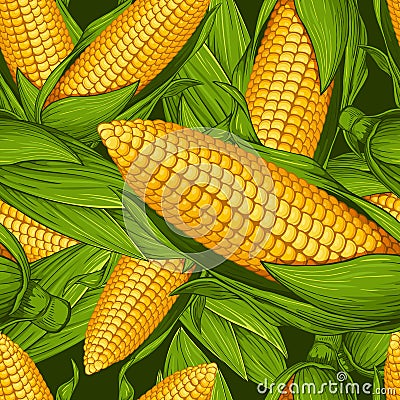 Ripe corn Vector Illustration