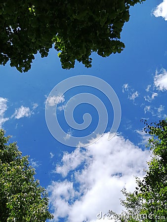 Seamless vector pattern. Green alien and flying saucer isolated on a white background. Vector graphics. Stock Photo