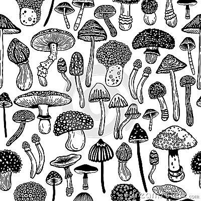 Seamless vector pattern of hallucinogenic mushrooms. Fantasy hand drawn concept of toadstools. Stylized image of psilocybin Vector Illustration
