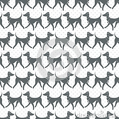 Seamless Vector Pattern with Pretty Walking Italian Greyhounds Vector Illustration