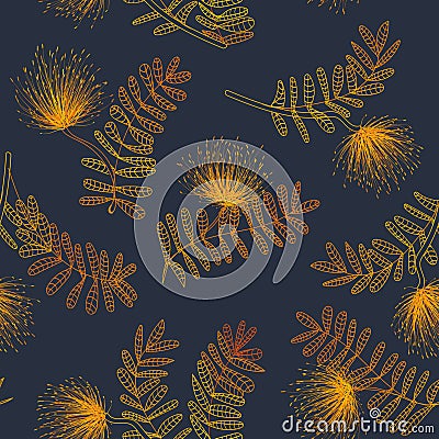 Seamless vector pattern with puffy mimosa tree flowers and leaves Vector Illustration