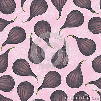 Seamless Vector Pattern with Ripe Whole Fig Stock Photo