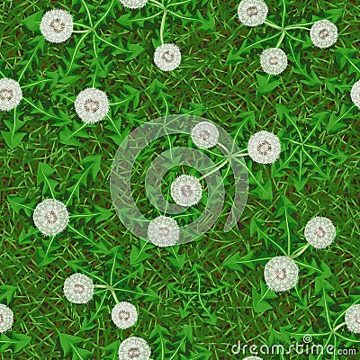 Seamless vector texture of green grass with fluffy dandelions Vector Illustration