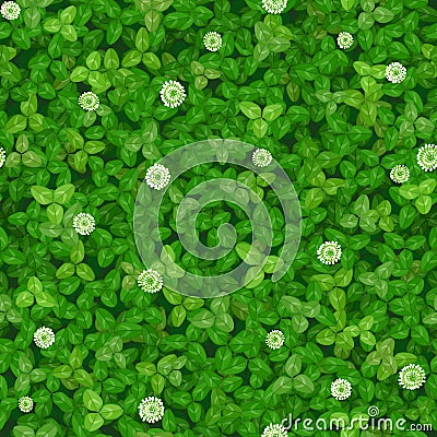 Seamless vector texture of a green lawn with white flowers of a clover Vector Illustration