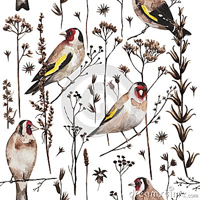 Seamless vintage pattern with goldfinch birds and autumn dry plants and flowers. Watercolor painting Stock Photo