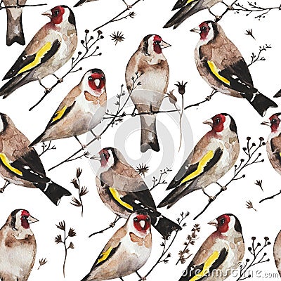 Seamless vintage pattern with goldfinch birds sitting on dry branches. Watercolor painting Stock Photo