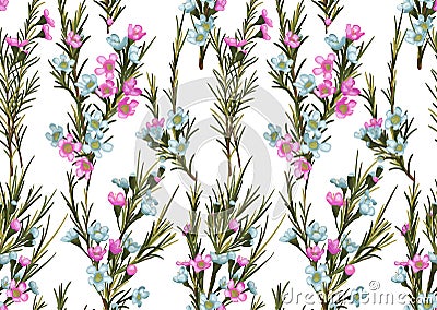 Seamless watercolor background of pink and blue wax flowers with Vector Illustration