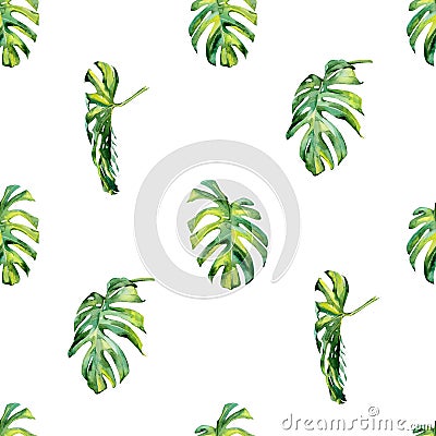 Seamless watercolor illustration of tropical leaves, dense jungle. Cartoon Illustration