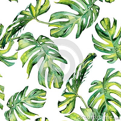 Seamless watercolor illustration of tropical leaves, dense jungle. Cartoon Illustration