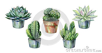 Seamless watercolor pattern with cactus and succulents in pots. Cartoon Illustration