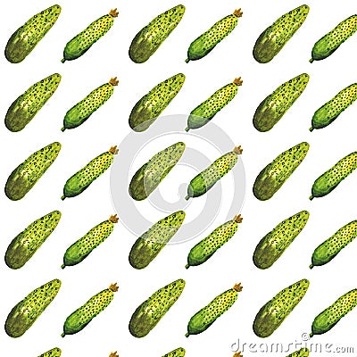 seamless watercolor pattern of green prickly cucumbers Vector Illustration