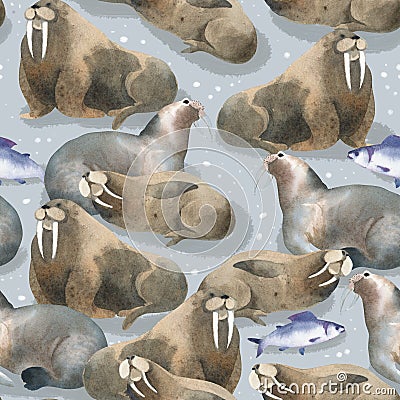 Seamless watercolor pattern about north fauna. Sea animal and fish. Brown warlus on snow Stock Photo