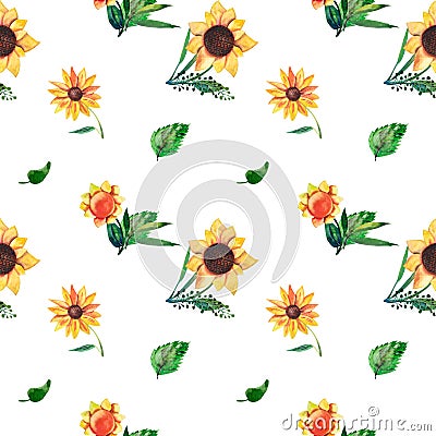 Seamless watercolor pattern on white background. Sunflowers, leaves and wild herbs Stock Photo