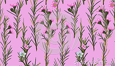 Seamless watercolor pink background of beautiful wax flowers wit Vector Illustration