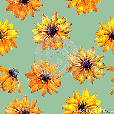 Seamless watercolor texture of Rudbeckia flowers. Watercolor illustration. Flowers for design. Stock Photo