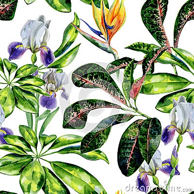 Seamless watercolor tropical pattern with schefflera plant and iris flowers, croton leaves and strelitzia Stock Photo