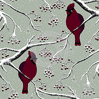 Cardinal bird on tree Vector Illustration