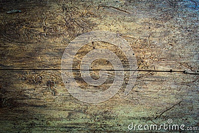 Seamless wood texture lumber eaten by bark beetles Stock Photo