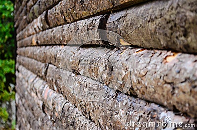 Seamless Wooden Planks Wood Stock Photo