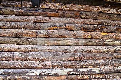 Seamless Wooden Planks Wood Stock Photo