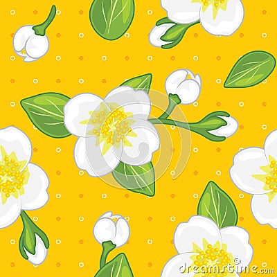 Seamless yellow pattern with blooming jasmine Vector Illustration