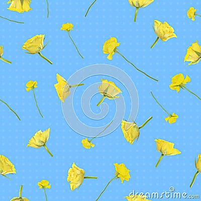 Seamless yellow roses Stock Photo