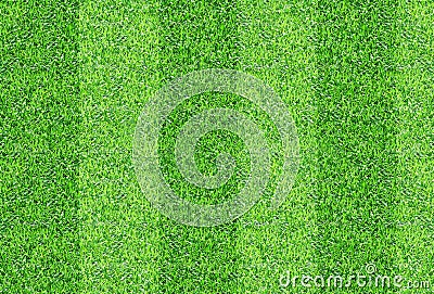 Seamlessly green grass texture background. Stock Photo