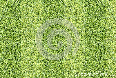 Seamlessly green grass texture background. Stock Photo