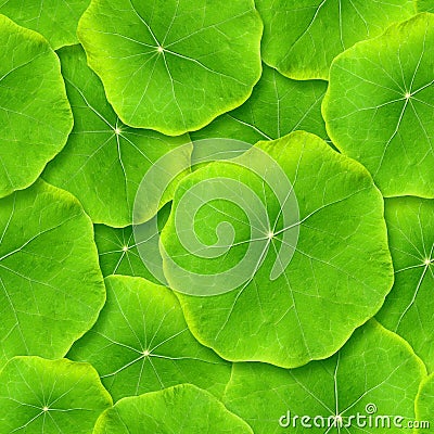 Seamlessly green leafs. Stock Photo