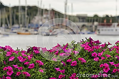 Seaport Village of Kinsale, Ireland Stock Photo