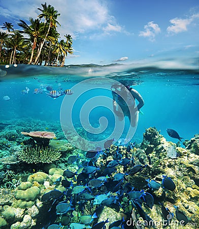 In search of underwater adventure 2 Stock Photo