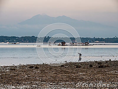 Searching for crabs and shells in front of a vulcano Editorial Stock Photo