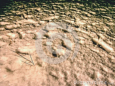 Searching of person disappeared in the winter landscape. Human footprints in deep snow. Stock Photo