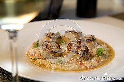 Seared scallops on a bed of risotto Stock Photo