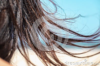 Seascape, beach and woman`s hair. Girl and her long naughty hair on the strong wind. Stock Photo