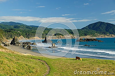 Seascape in Gold beach Stock Photo