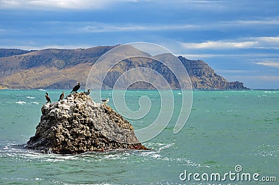 Seascape , the stone with a birds on the sea, on the background of Cape Meganom, Crimea Stock Photo