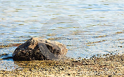 Seascape - stone in water sea coast nature Stock Photo