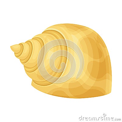 Seashell as Hard Marine Snail Shell Vector Illustration Vector Illustration